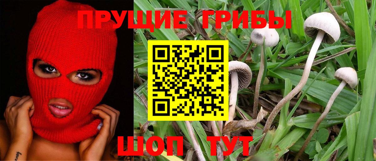 Хабаровск  Псилоцибиновые грибы Magic Shrooms  Вход с VPN 