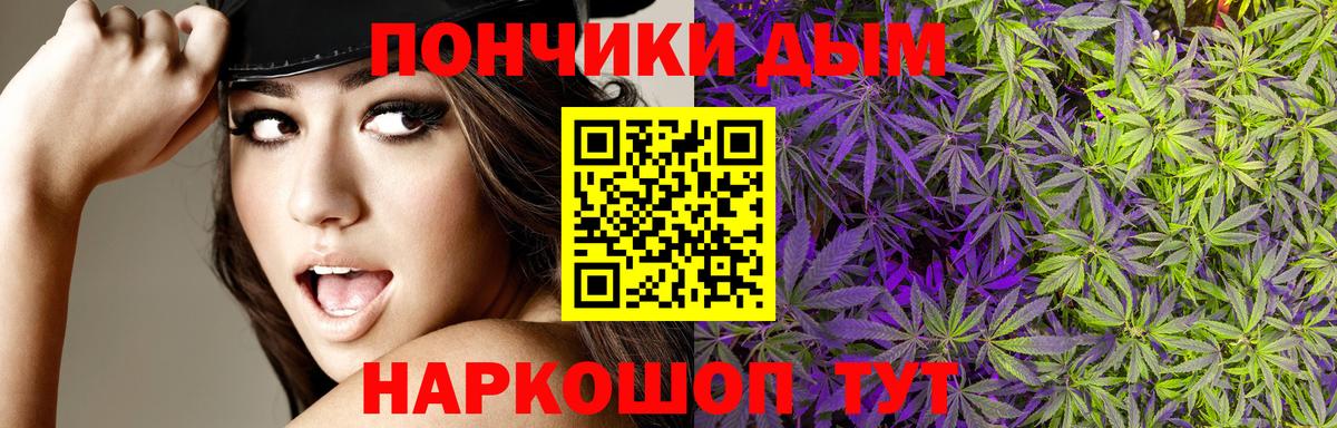 Бошки Шишки план Хабаровск